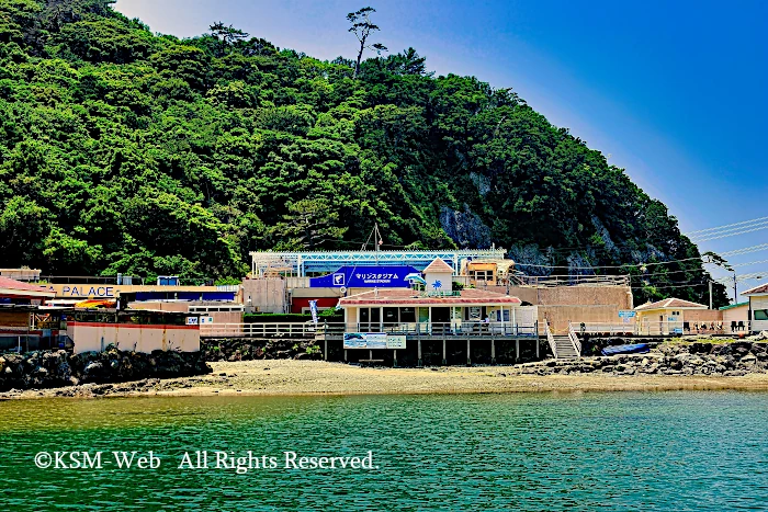 下田海中水族館