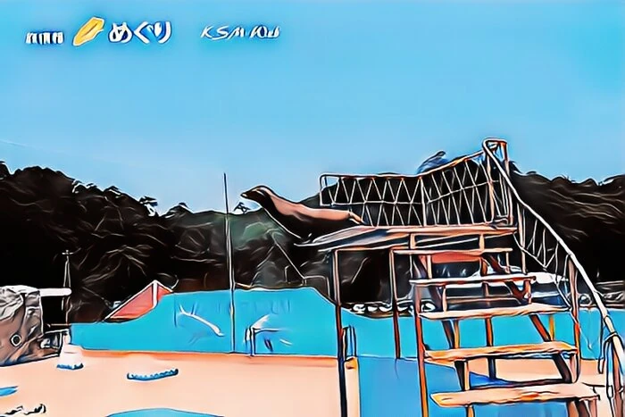 下田海中水族館 アシカョー