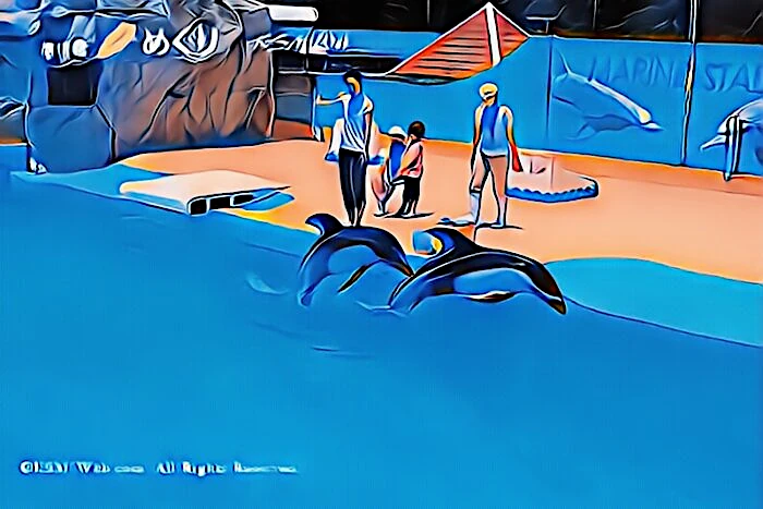 下田海中水族館 イルカショー