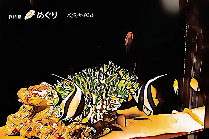 下田海中水族館 ハタタテダイ