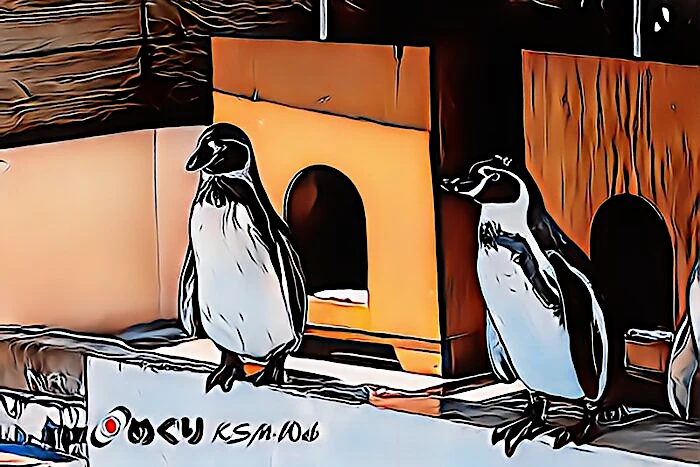 下田海中水族館 ペンギン