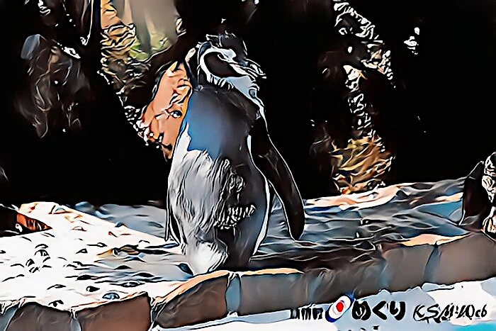 下田海中水族館　 ペンギン