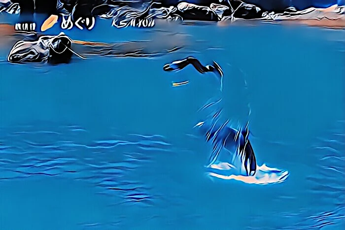 下田海中水族館