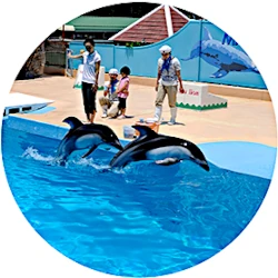 下田海中水族館