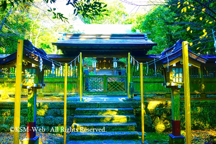 白浜神社 本殿