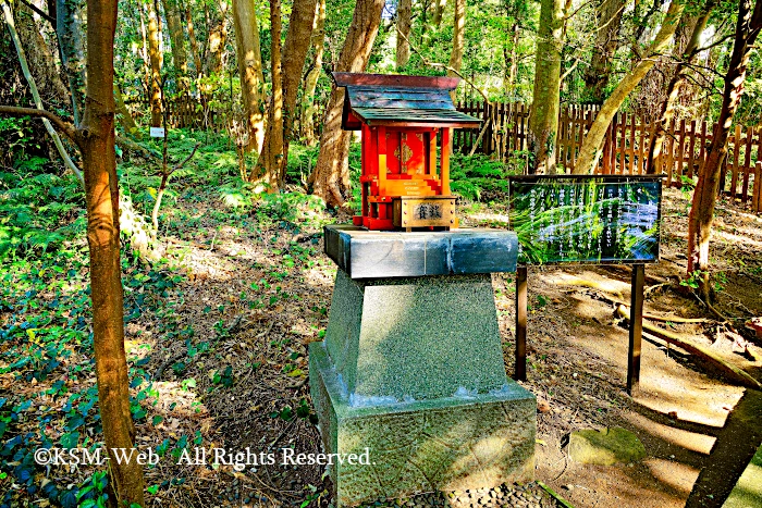 白浜神社 目の神様