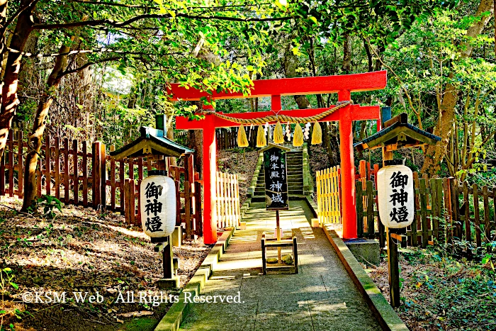 白浜神社 御本殿登り口