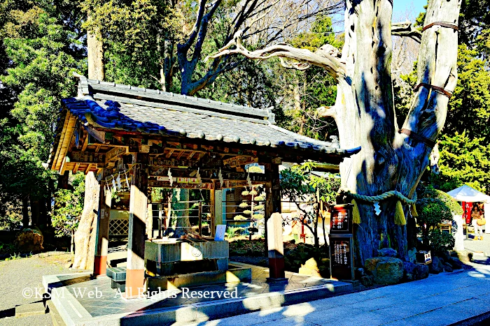 白浜神社 手水舎