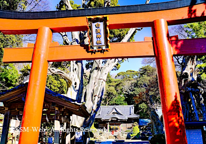 白浜神社 御拝殿  