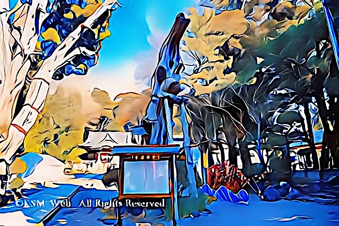 白浜神社 御神木白龍の柏槙
