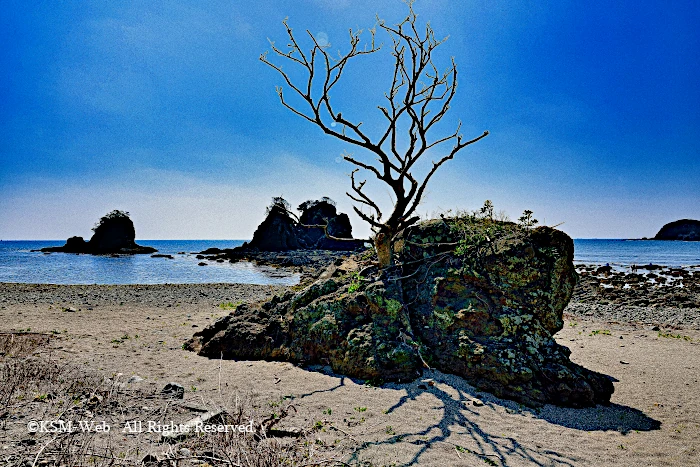 逢ヶ浜