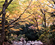 箱根富士屋ホテルの写真