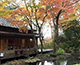 箱根富士屋ホテルの写真