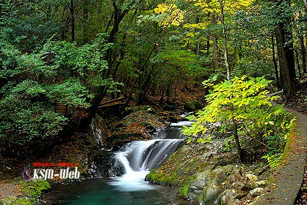滑沢渓谷の写真
