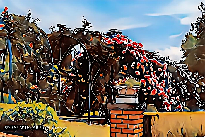 虹の郷 ロイヤルローズガーデン