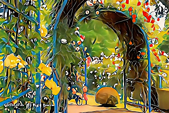 虹の郷 ロイヤルローズガーデン