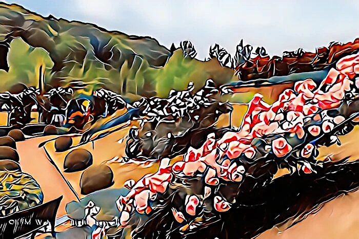 虹の郷 ロイヤルローズガーデン