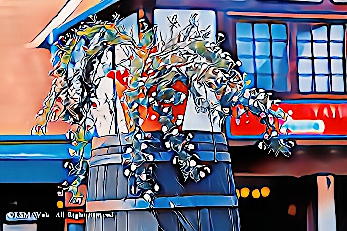 虹の郷 イギリス村のバラ