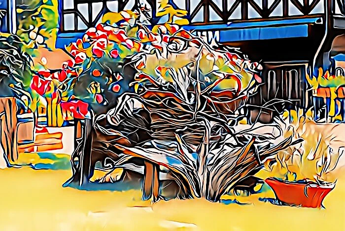 虹の郷 草木の飾り