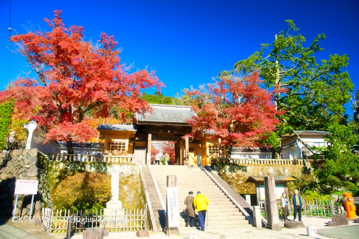 修禅寺 山門