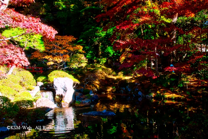 修禅寺 庭園