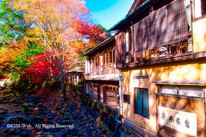 新井旅館