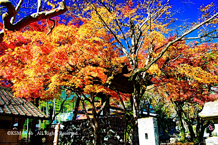 修禅寺 鐘楼堂