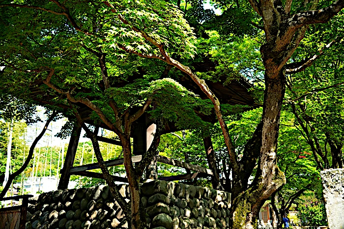 修禅寺の鐘楼堂