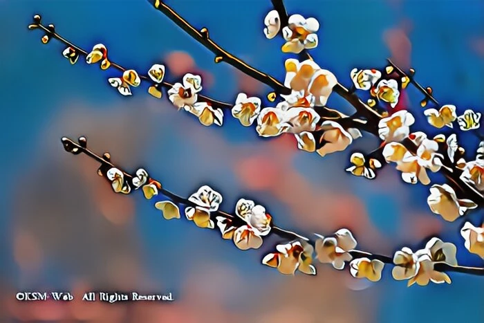 修善寺梅林の梅