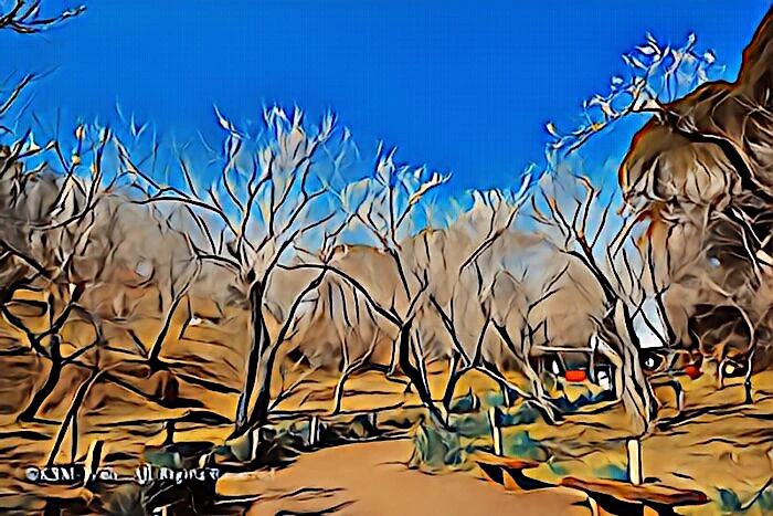 修善寺梅林の梅