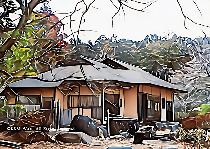 修善寺梅林 双皎山荘