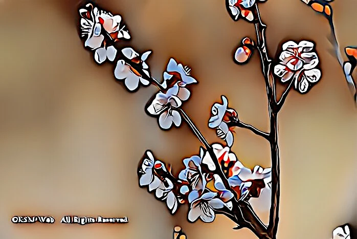 修善寺梅林の梅