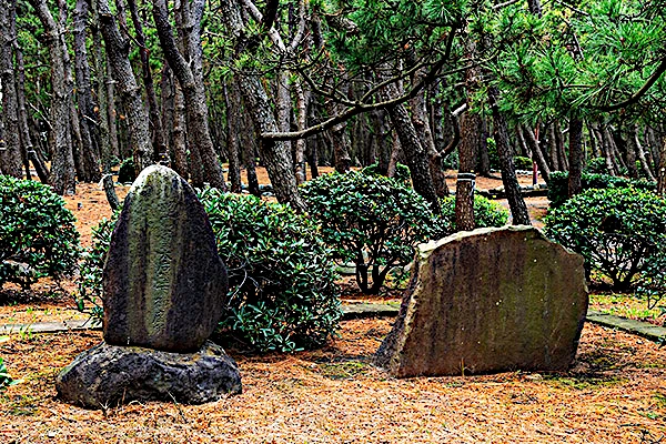 沼津千本浜公園の写真