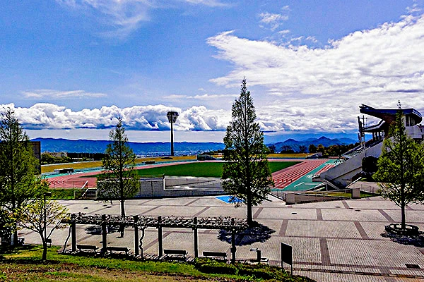 愛鷹広域公園の写真