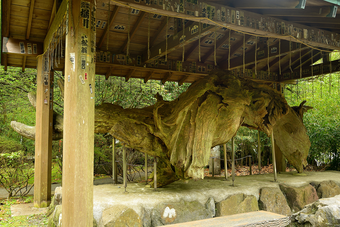 箱根神社