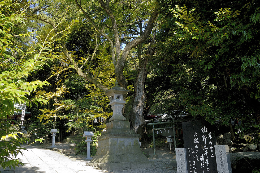 来宮神社