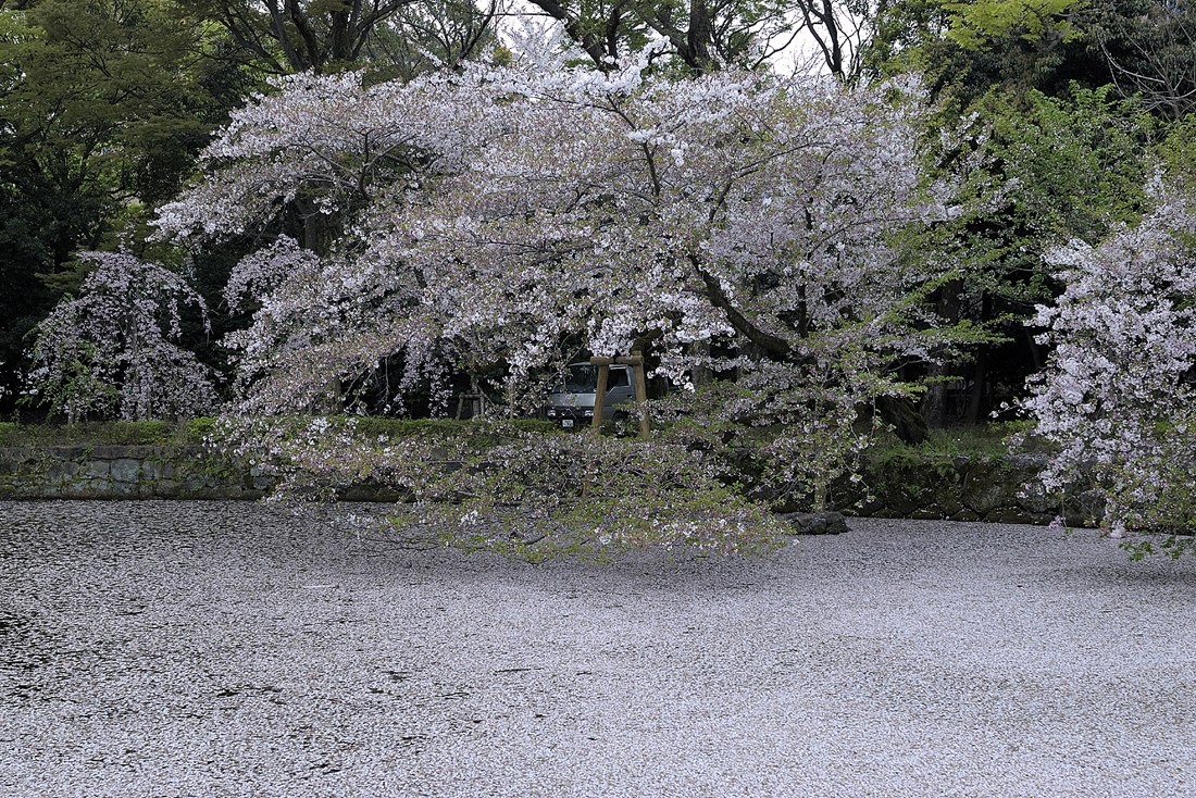 三嶋大社