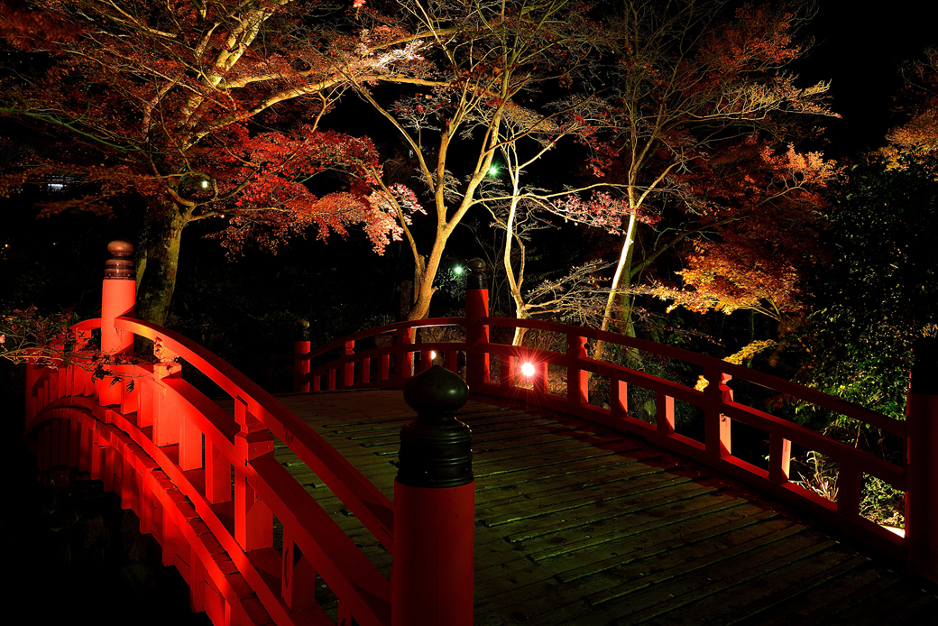 熱海梅園の紅葉ライトアップ