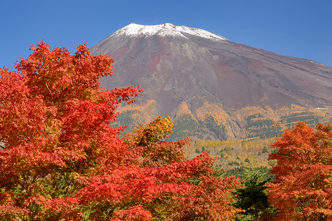 富士山南麓の紅葉