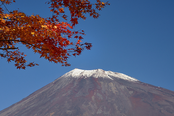 富士山南麓の紅葉