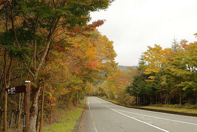富士山南麓の紅葉