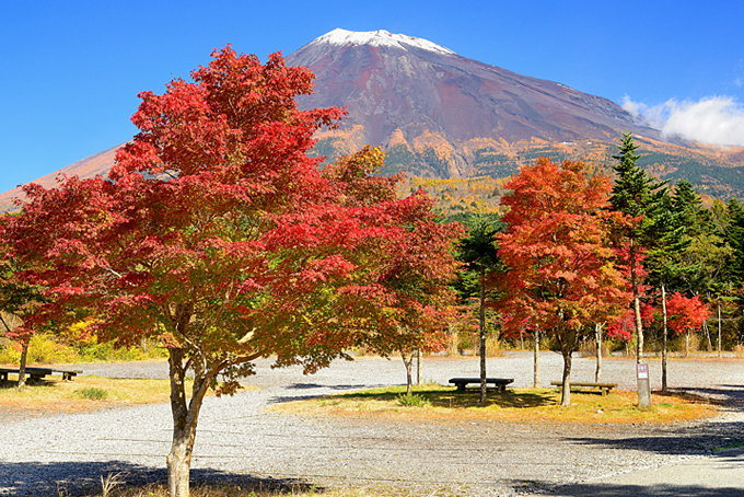 富士山南麓の紅葉