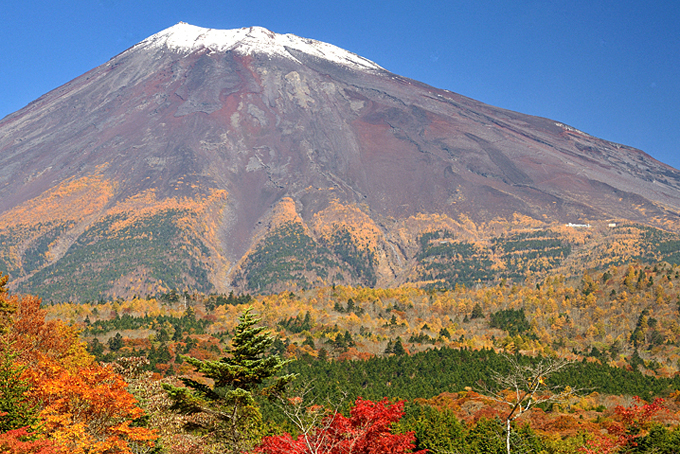 富士山南麓の紅葉