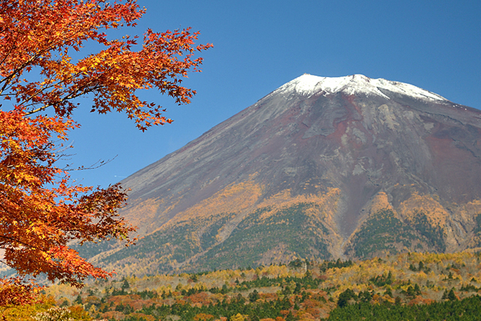 富士山南麓の紅葉