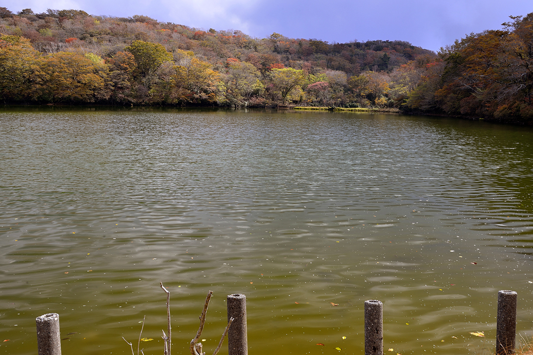 天城八丁池の紅葉