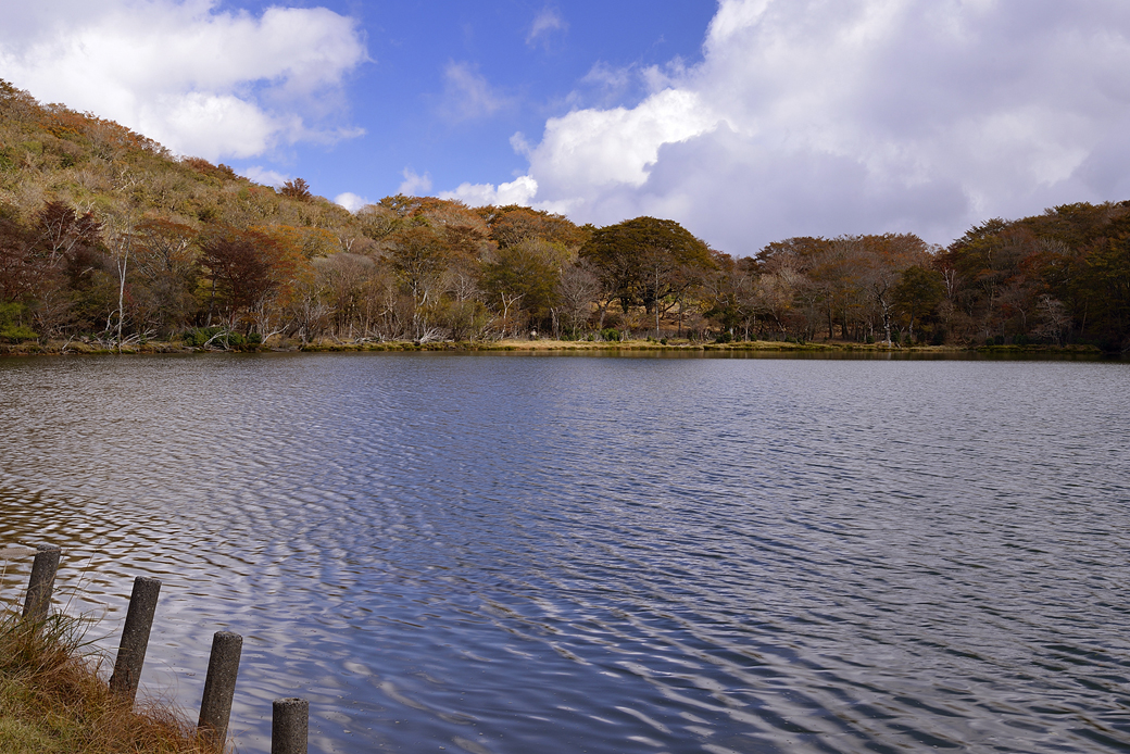 天城八丁池の紅葉