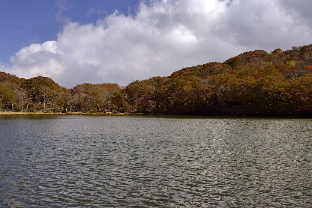 天城八丁池の紅葉