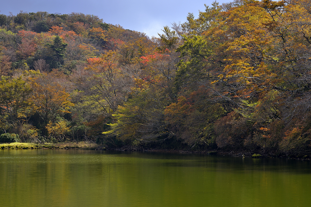 天城八丁池の紅葉