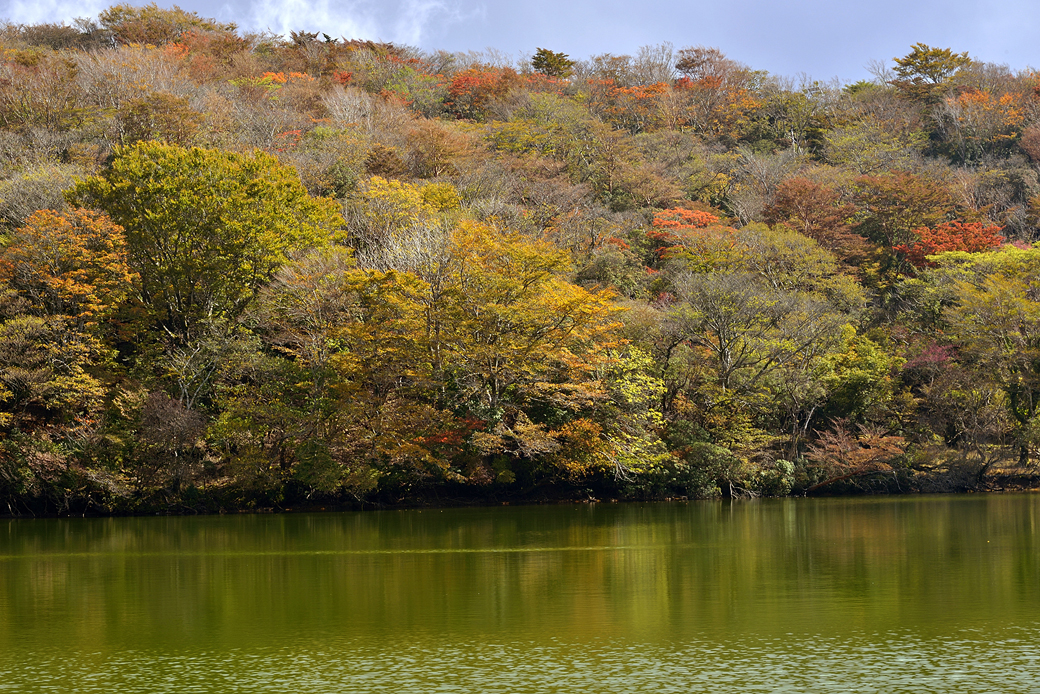 天城八丁池の紅葉