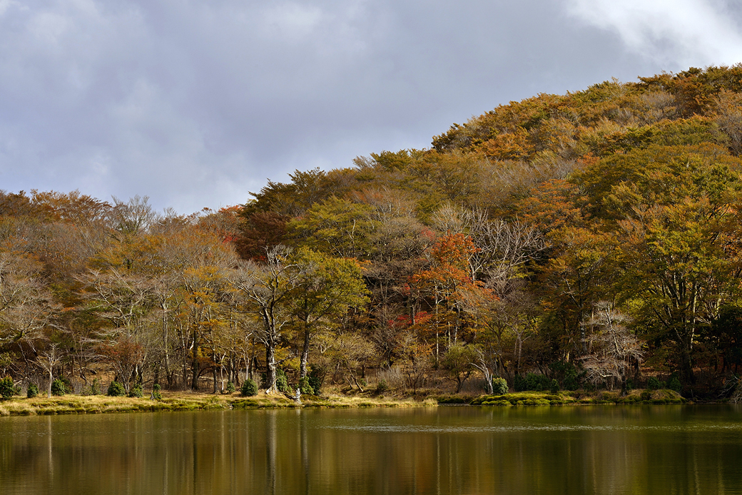 天城八丁池の紅葉